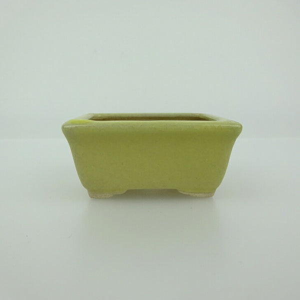 盆栽鉢 青香 小鉢 長辺 約5.9cm 長方鉢 貫入 縁付 釉薬 x1200783322