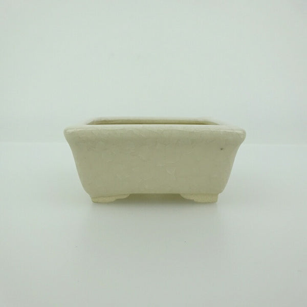 盆栽鉢 青香 小鉢 長辺 約5.8cm 長方鉢 貫入 縁付 釉薬 q1200789472