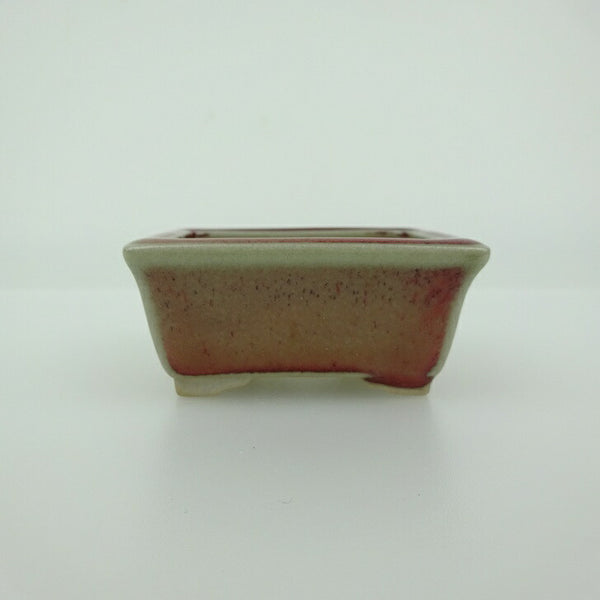 盆栽鉢 青香 小鉢 長辺 約5.8cm 長方鉢 縁付 釉薬 m1200781781