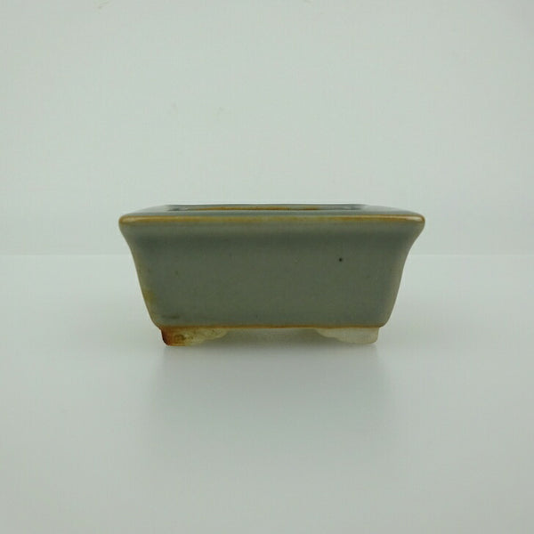 盆栽鉢 青香 小鉢 長辺 約5.9cm 長方鉢 縁付 釉薬 m1200779891