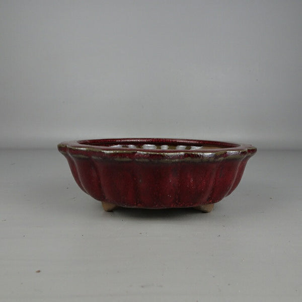 盆栽鉢 落款なし 小型 長辺 約 15cm 輪花鉢 外縁 釉薬 中国鉢 新品 数量物 1201475436