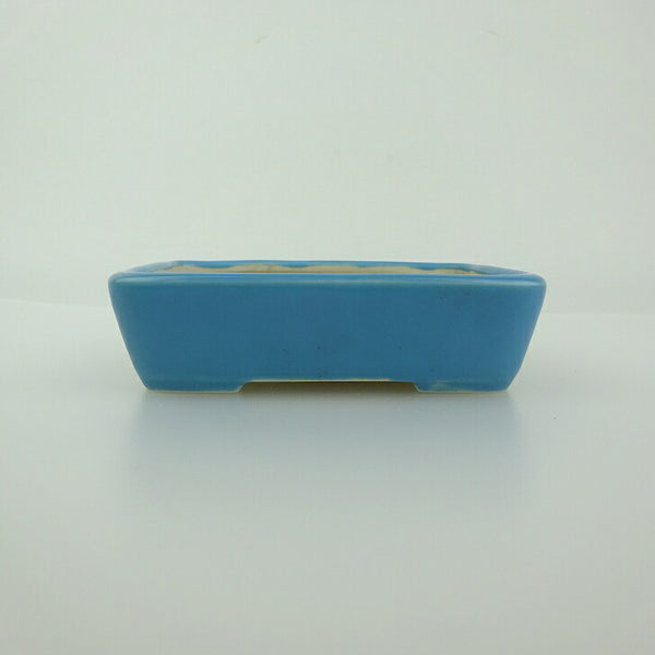中古 盆栽鉢 青香 小鉢 長辺 約9.2cm 長方鉢 釉薬  中古鉢 f1201486976