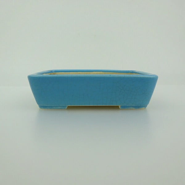 中古 盆栽鉢 青香 小鉢 長辺 約9.5cm 長方鉢 釉薬  中古鉢 q1201493564