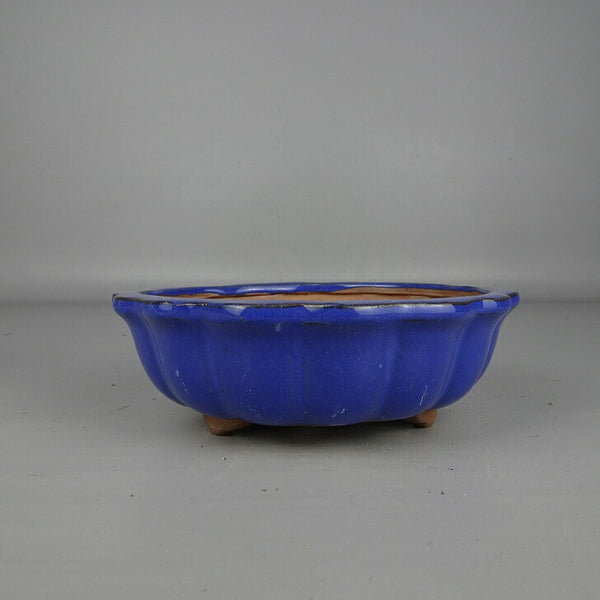 盆栽鉢 落款なし 小型 長辺 約 15cm 輪花鉢 外縁 釉薬 中国鉢 新品 数量物 q1201493708