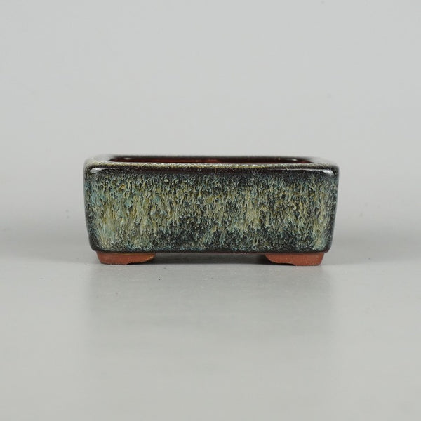 盆栽鉢 常滑 燿山窯 英明 小型 長辺 約11cm 長方鉢 切立 中深 ナマコ 釉薬 新品 数量物 g1201997007