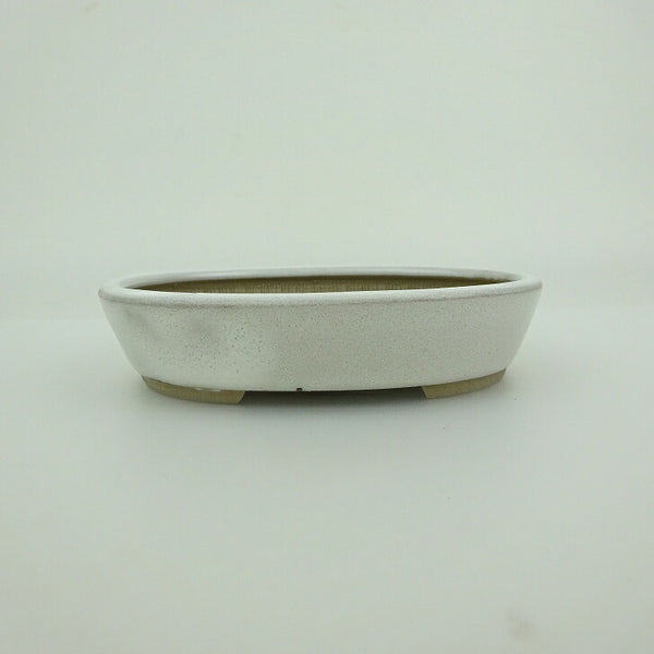 中古 盆栽鉢 青香 小鉢 長辺 約9.8cm 楕円鉢 釉薬  中古鉢 v1202018639