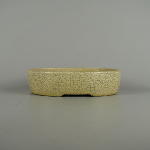 盆栽鉢 真山 寺畑 中型 長辺 約 21.8cm 楕円鉢 貫入 釉薬  新品 u1202096740