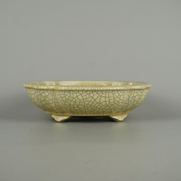 盆栽鉢 里美 寺畑陶園 中型 長辺 約 20.3cm 木瓜鉢 釉薬  新品 x1202078131