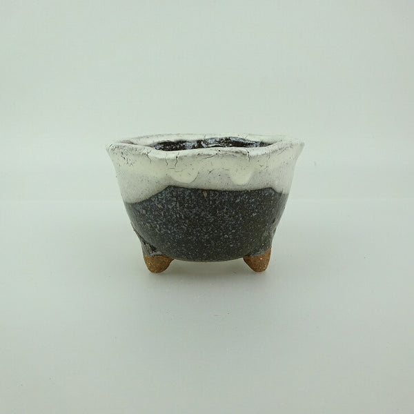 盆栽鉢 信楽焼 小鉢 長辺 約7.9cm 丸鉢 信楽 楽風 鉢 釉薬 観賞用  新品 b1202100698