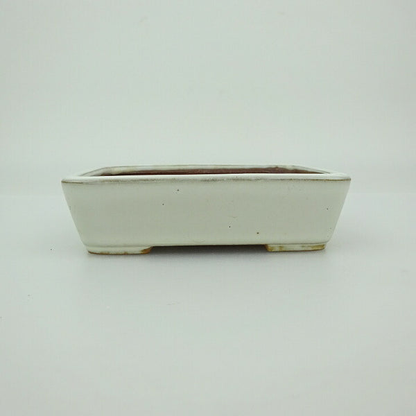 中古 盆栽鉢 青香 小鉢 長辺 約 9.3cm 長方鉢 釉薬  中古鉢 r1202238629