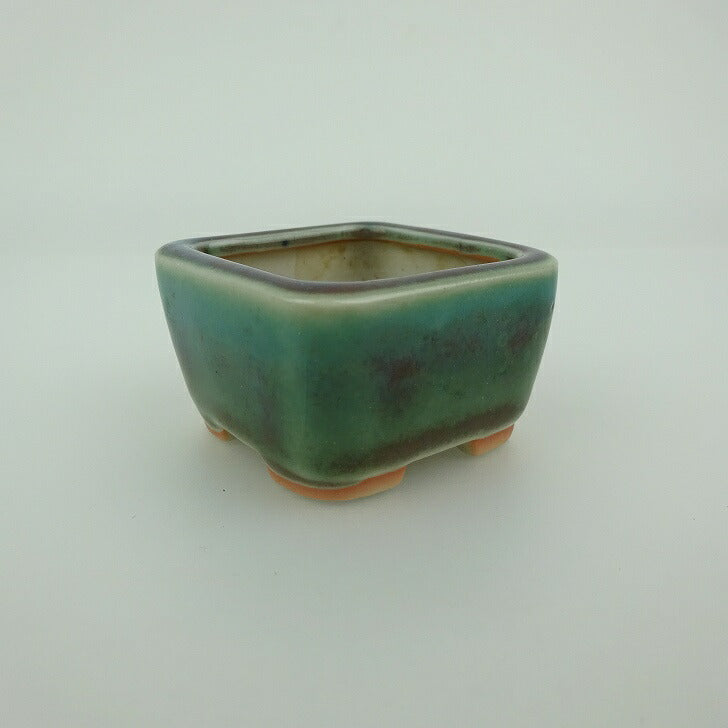 陶翠盆栽鉢 新品未使用品 緑釉薬 長方形 楽天市場】【中古】盆栽鉢 陶