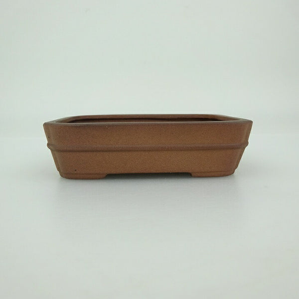 中古 盆栽鉢 青香 小鉢 長辺 約 9.4cm 長方鉢 中帯 泥物  中古鉢 l1202367025