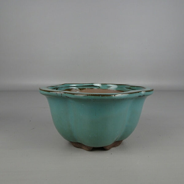 盆栽鉢 落款なし 小型 長辺 約 13cm 花形鉢 外縁 釉薬 中国鉢 新品 数量物 f1202679095