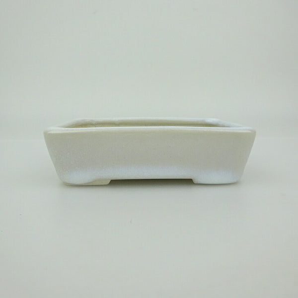 盆栽鉢 青香 小鉢 長辺 約9.3cm 長方鉢 貫入 釉薬 h1202709018