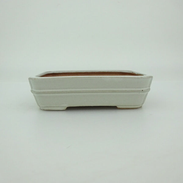 盆栽鉢 青香 小鉢 長辺 約9.5cm 長方鉢 中帯 隅入 釉薬 d1202699792