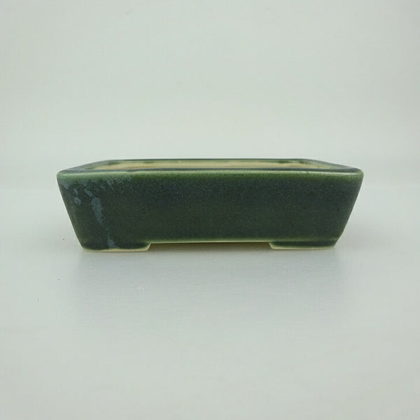 盆栽鉢 青香 小鉢 長辺 約9.3cm 長方鉢 釉薬 j1202694149