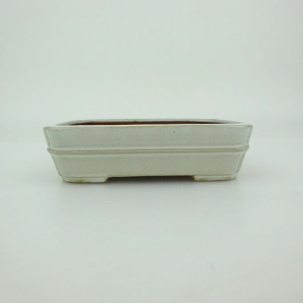 盆栽鉢 青香 小鉢 長辺 約9.3cm 長方鉢 中帯 隅入 釉薬 k1202685193