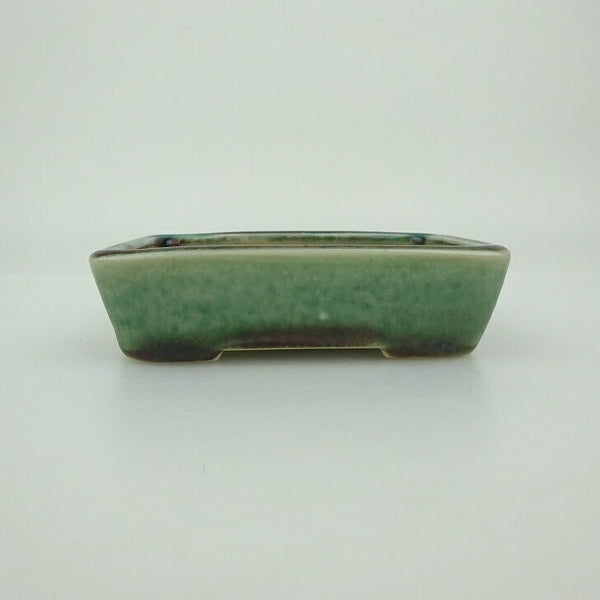 盆栽鉢 青香 小鉢 長辺 約9.4cm 長方鉢 釉薬 s1202694297