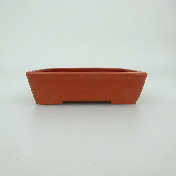盆栽鉢 青香 小鉢 長辺 約9.1cm 長方鉢 泥物 q1202699173