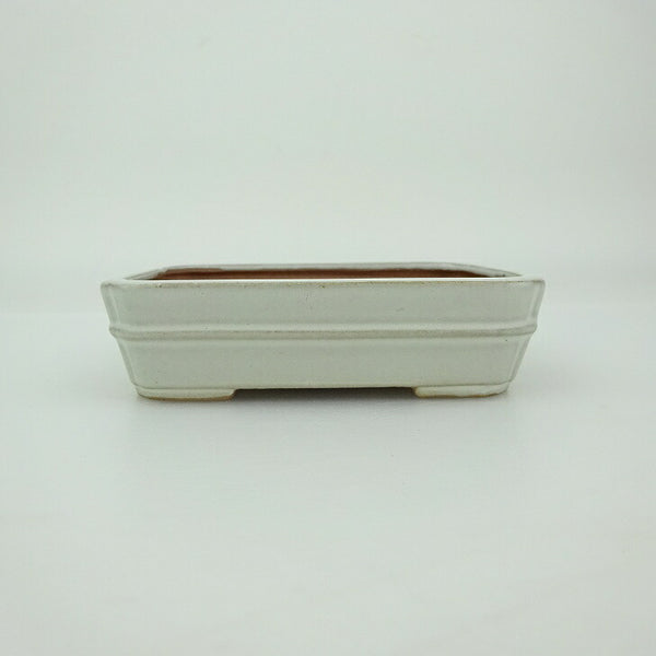 盆栽鉢 青香 小鉢 長辺 約9.4cm 長方鉢 中帯 隅入 釉薬 b1202700919