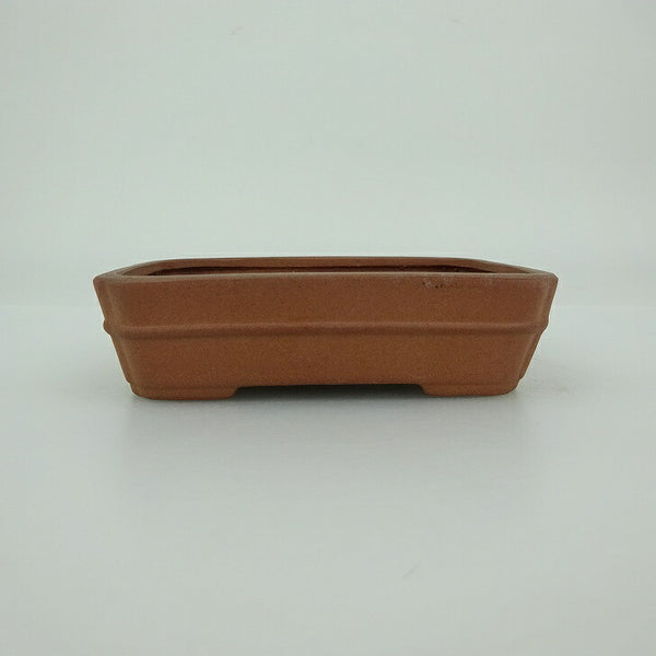 盆栽鉢 青香 小鉢 長辺 約9.5cm 長方鉢 中帯 隅入 泥物 b1202699975