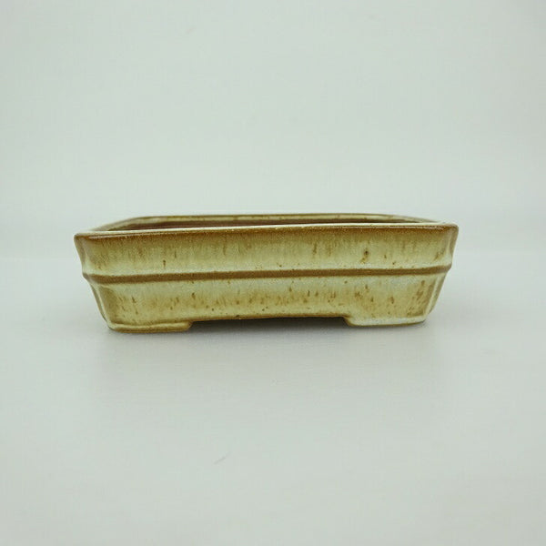 盆栽鉢 青香 小鉢 長辺 約9.3cm 長方鉢 中帯 隅入 釉薬 c1202690430