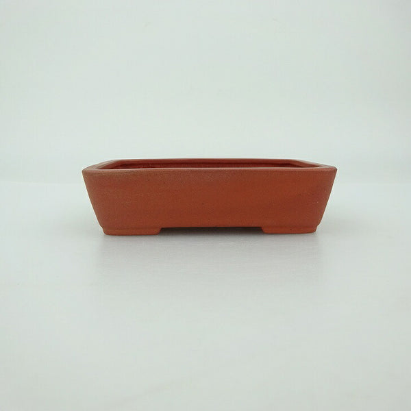 盆栽鉢 青香 小鉢 長辺 約9cm 長方鉢 泥物 d1202705170