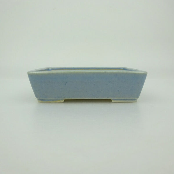 盆栽鉢 青香 小鉢 長辺 約9.3cm 長方鉢 釉薬 l1202690630