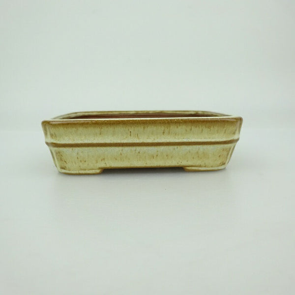 盆栽鉢 青香 小鉢 長辺 約9.3cm 長方鉢 中帯 隅入 釉薬 b1202696094