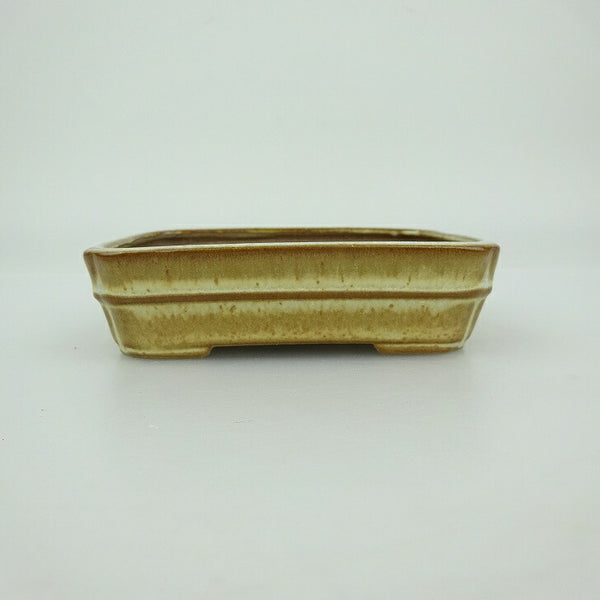 盆栽鉢 青香 小鉢 長辺 約9.4cm 長方鉢 中帯 隅入 釉薬 v1202720732