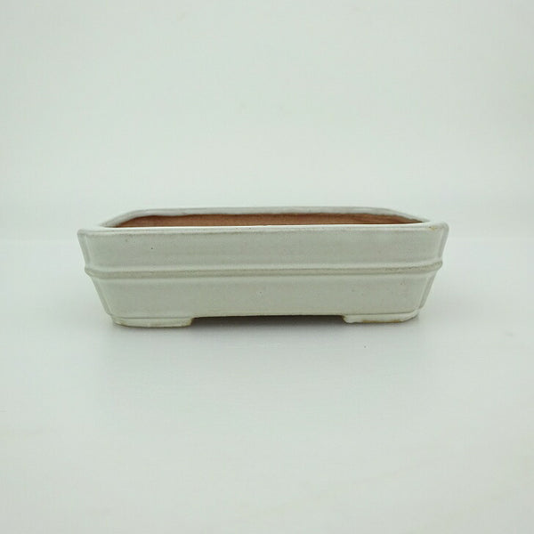 盆栽鉢 青香 小鉢 長辺 約9.4cm 長方鉢 中帯 隅入 釉薬 u1202712162