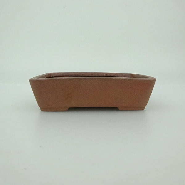 盆栽鉢 青香 小鉢 長辺 約9.1cm 長方鉢 泥物 h1202704637