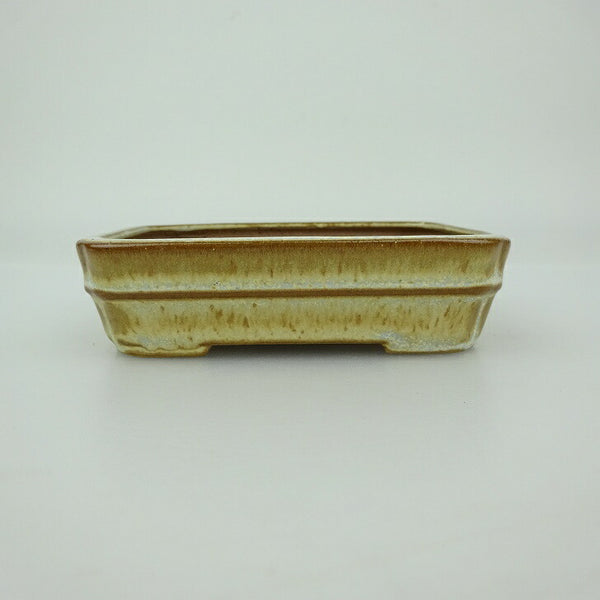 盆栽鉢 青香 小鉢 長辺 約9.3cm 長方鉢 中帯 隅入 釉薬 s1202696024