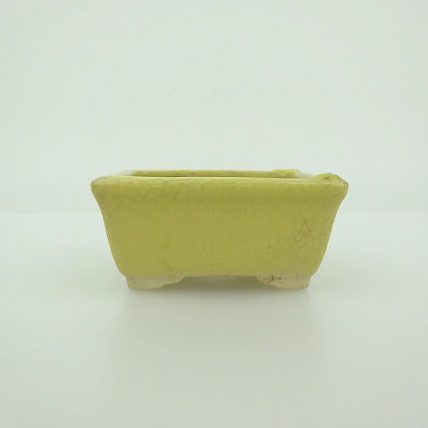 中古 盆栽鉢 青香 小鉢 長辺 約6cm 長方鉢 縁付 貫入 釉薬  中古鉢 j1202694794