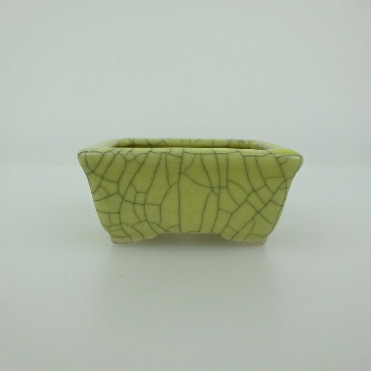【は二わ盆栽】　屯洋　盆栽鉢 b_h0788 \\u2013 盆景盆｜植物盆栽及園藝用品專門店｜森流GreenFlow 頁119 7.5号 プラ鉢 長方形花盆