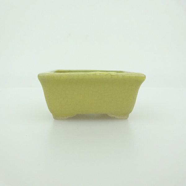 中古 盆栽鉢 青香 小鉢 長辺 約5.9cm 長方鉢 縁付 貫入 釉薬  中古鉢 k1202695706