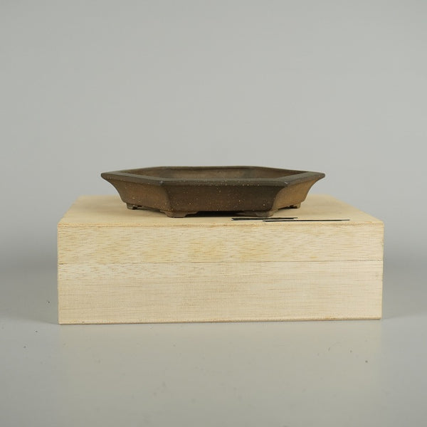 盆栽鉢 市之倉 石州 小型 長辺 約 15cm 六角鉢 縁付 泥物 箱付  新品 t1203123579