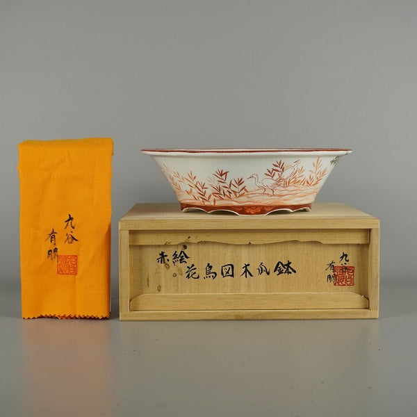 盆栽鉢 九谷 有朋 中型 長辺 約 21cm 木瓜鉢 赤絵 花鳥図 模様 共箱 共布 鑑賞 観賞用  新品 k1203120433