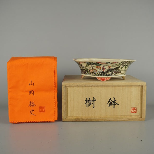 盆栽鉢 高山 山岡 裕史 小型 長辺 約 18cm 木瓜鉢 色絵 山水図 模様 共箱 共布 鑑賞 観賞用  新品 n1203121039