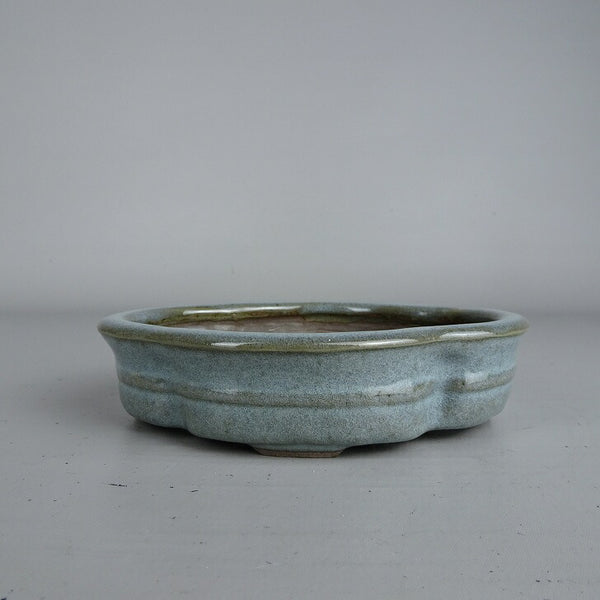 盆栽鉢 遊見 小型 長辺 約 15.2cm 木瓜鉢 縁付 釉薬  新品 r1203451951