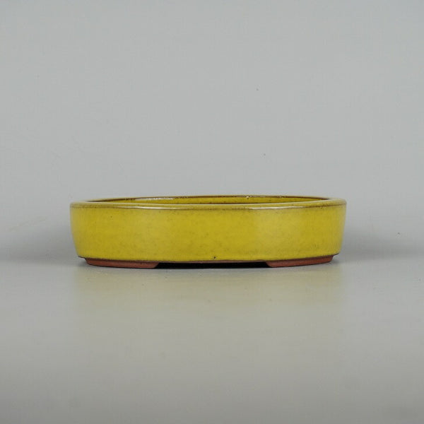 盆栽鉢 常滑 燿山窯 英明 小型 長辺 約18.5cm 楕円鉢 切立 小判 黄釉 釉薬 数量物 新品 h1203749582