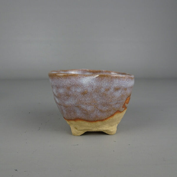 盆栽鉢 大塩 正人 小鉢 長辺 約 7.2cm 正方鉢 赤膚焼 釉薬 箱付 布付 鑑賞 観賞用  新品 f1205008789