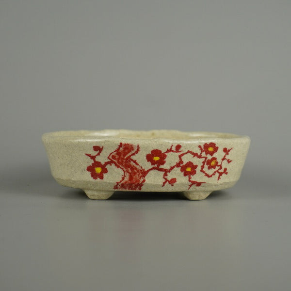 盆栽鉢 越前文山 小型 長辺 約 12.8cm 楕円鉢 赤絵 竹 笹 梅 花 はな ハナ 鑑賞 観賞用  新品 w1206094604