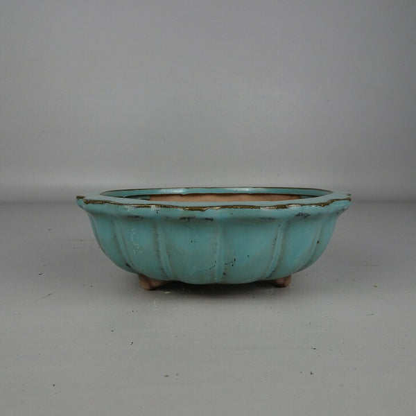 盆栽鉢 落款なし 小型 長辺 約 15.5cm 輪花鉢 外縁 釉薬 中国鉢 新品 数量物 h1206966425