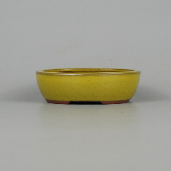 盆栽鉢 常滑 燿山窯 英明 小鉢 長辺 約9.7cm 楕円鉢 ワン型 小判 黄釉 釉薬 新品 数量物 l1208698499