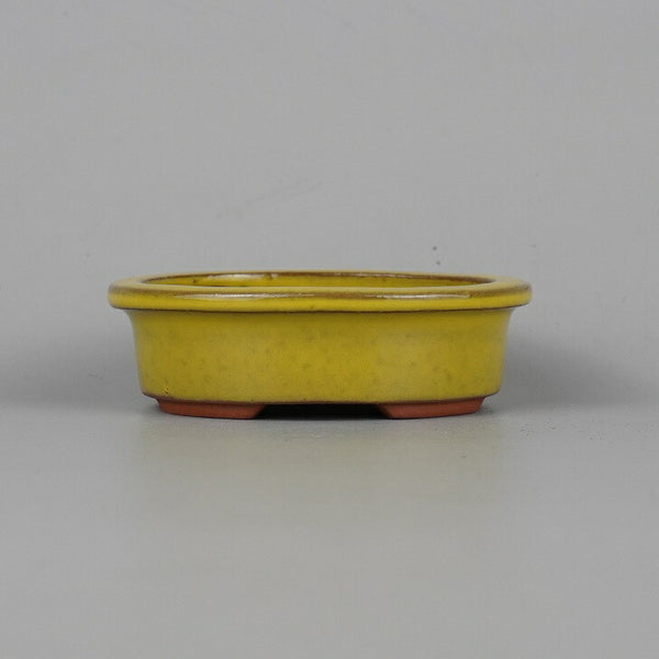 盆栽鉢 常滑 燿山窯 英明 小鉢 長辺 約9.5cm 楕円鉢 外縁 黄釉 釉薬 新品 数量物 t1208693930