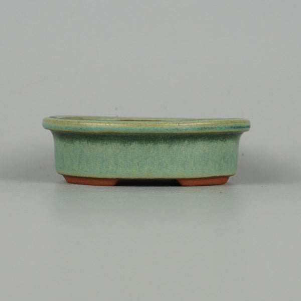 盆栽鉢 常滑 燿山窯 英明 小鉢 長辺 約9.5cm 楕円鉢 外縁 緑釉 釉薬 新品 数量物 w1211905460