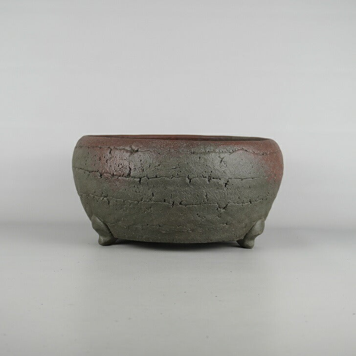 中古】盆栽鉢 常滑 十王堂 松泉造 小鉢 長辺 約 8.8cm 丸鉢
