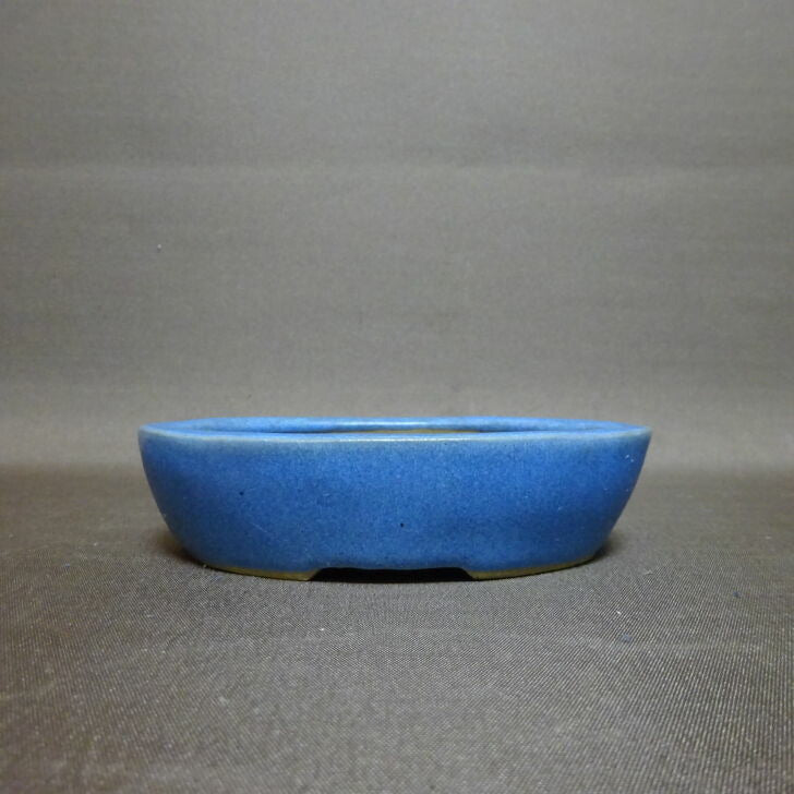 Newest Products - 森流 GreenFlow - 動植物造景專門店 – 頁2