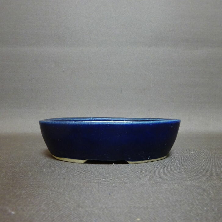 Newest Products - 森流 GreenFlow - 動植物造景專門店 – 頁2